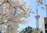 Tour Trung Quốc 5N4Đ: HCM - Nam Kinh - Hàng Châu - Ô Trấn - Thượng Hải - No Shopping