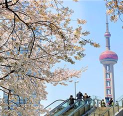 Tour Trung Quốc 5N4Đ: HCM - Nam Kinh - Hàng Châu - Ô Trấn - Thượng Hải - No Shopping