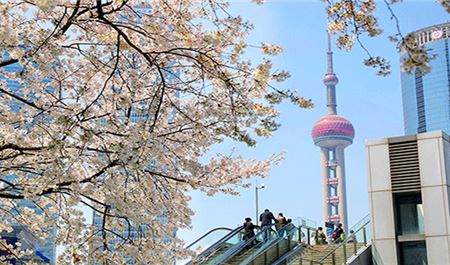 Tour Trung Quốc 5N4Đ: HCM - Nam Kinh - Hàng Châu - Ô Trấn - Thượng Hải - No Shopping