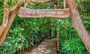 minera-forest-binh-chau-ivvv.gif
