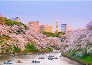 Tour Nhật Bản 6N5Đ: HCM - Osaka - Kyoto - Nagoya - Núi Phú Sĩ - Tokyo