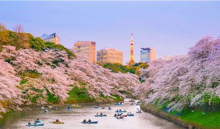 Tour Nhật Bản 6N5Đ: HCM - Osaka - Kyoto - Nagoya - Núi Phú Sĩ - Tokyo