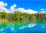 Tour Nhật Bản 6N5Đ: Hà Nội - Hokkaido - Sapporo - Biei - Otaru - Tokyo