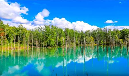 Tour Nhật Bản 6N5Đ: Hà Nội - Hokkaido - Sapporo - Biei - Otaru - Tokyo