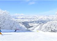Tour Nhật Bản 5N4Đ: HCM - Tokyo - Núi Phú Sĩ - Nagano - Trượt Tuyết Nozawa Onsen Snow Resort