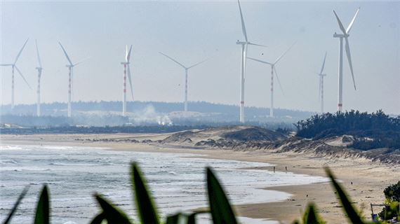 Cánh đồng quạt gió Phương Mai, Quy Nhơn.