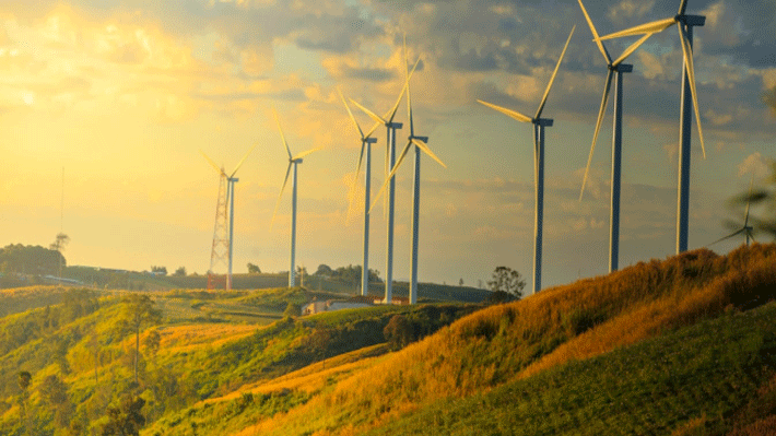 Cánh đồng quạt gió Phương Mai, Quy Nhơn.