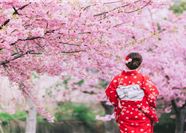 Tour Nhật Bản 5N4Đ: Hà Nội - Núi Phú Sĩ - Tokyo - Chiba - Hoa Anh Đào