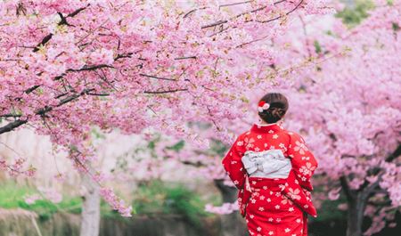 Tour Nhật Bản 5N4Đ: Hà Nội - Núi Phú Sĩ - Tokyo - Chiba - Hoa Anh Đào