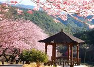 Tour Đài Loan 5N4Đ: HCM - Cao Hùng - Đài Trung - Đài Bắc - Dương Minh Sơn