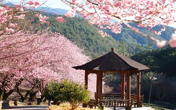 Tour Đài Loan 5N4Đ: HCM - Cao Hùng - Đài Trung - Đài Bắc - Dương Minh Sơn