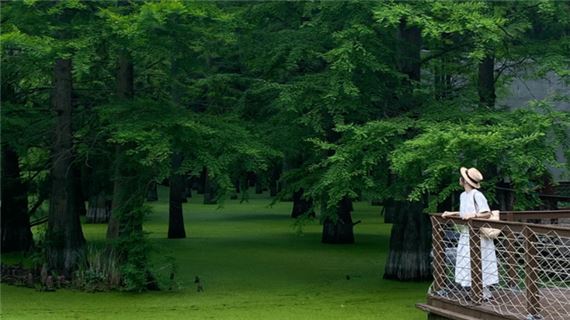 Đầm Lầy Thanh Sơn.