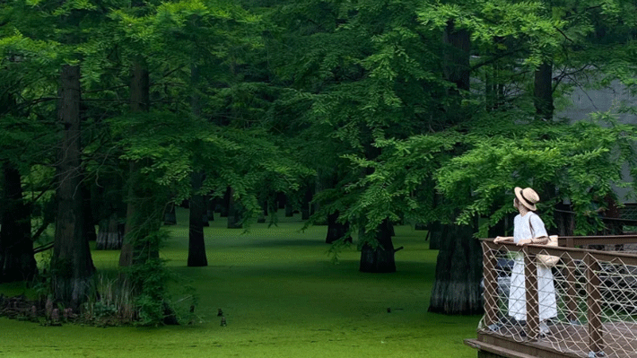 Đầm Lầy Thanh Sơn.