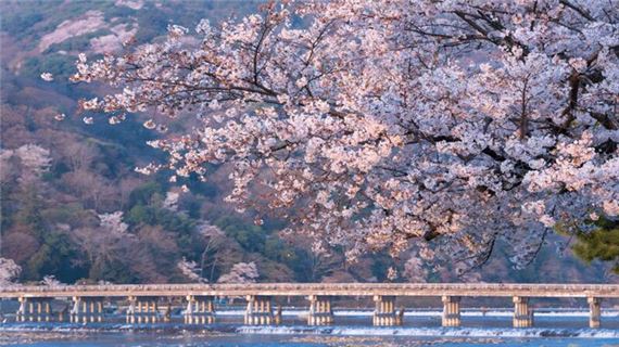 Cầu Togetsukyo - cầu Nguyệt Kiều.