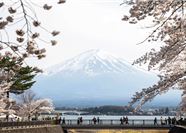 Tour Nhật Bản 6N5Đ: HCM - Osaka - Kobe - Kyoto - Công Viên Nara - Ngắm Hoa Anh Đào