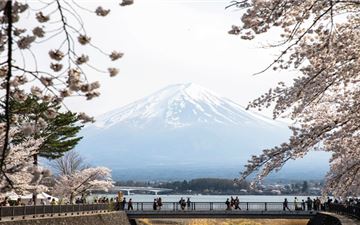 Tour Nhật Bản 6N5Đ: HCM - Osaka - Kobe - Kyoto - Công Viên Nara - Ngắm Hoa Anh Đào