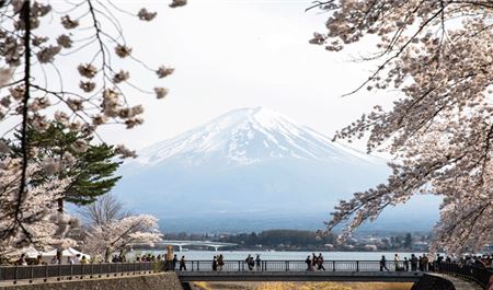 Tour Nhật Bản 6N5Đ: HCM - Osaka - Kobe - Kyoto - Công Viên Nara - Ngắm Hoa Anh Đào