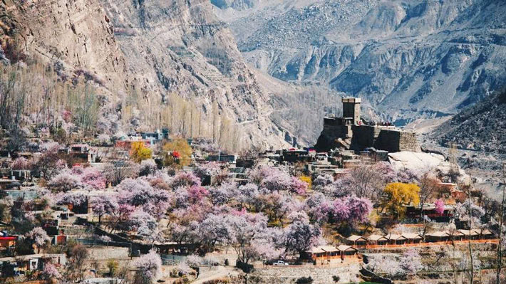 Pháo đài Altit Fort