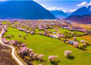 Tour Tây Tạng Mùa Hoa Đào 9N8Đ: HCM - Lhasa - Lâm Chi - Hồ Yamdrok