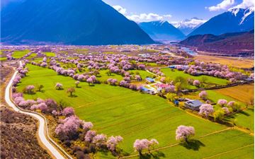 Tour Tây Tạng Mùa Hoa Đào 8N7Đ: HCM - Lhasa - Lâm Chi - Hồ Yamdrok - No Shopping