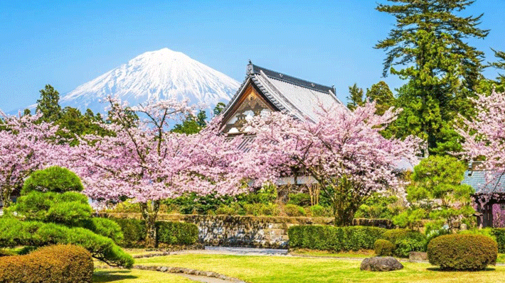 Làng Cổ Oshino Hakkai