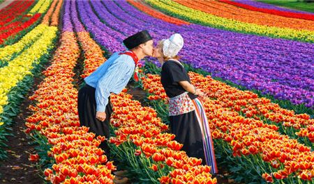 Tour Tây Âu 11N10Đ: Hà Nội - Ý - Thuỵ Sĩ -  Đức - Hà Lan - Bỉ - Pháp - Lễ Hội Hoa Tulip