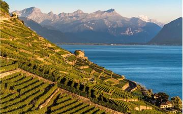 Tour Châu Âu 10N9Đ: HCM - Khám Phá Pháp - Thụy Sĩ - Ý - Ruộng Bậc Thang Lavaux