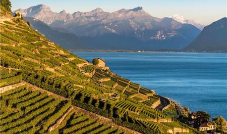 Tour Châu Âu 10N9Đ: HCM - Khám Phá Pháp - Thụy Sĩ - Ý - Ruộng Bậc Thang Lavaux