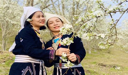 Tour Na Hang 2N1Đ: Hà Nội - Vịnh Hạ Long Giữa Núi Rừng -  Hoa Lê Trắng