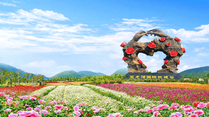 Thung Lũng hoa hồng quốc tế