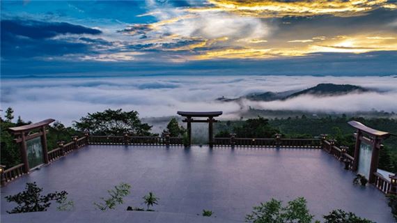 Linh Quy Pháp Ấn.