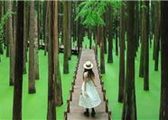 Tour Trung Quốc 5N4Đ: Hà Nội - Thượng Hải - Bộc Viện - Hồ Thanh Sơn - Hoành Thôn Cổ Trấn