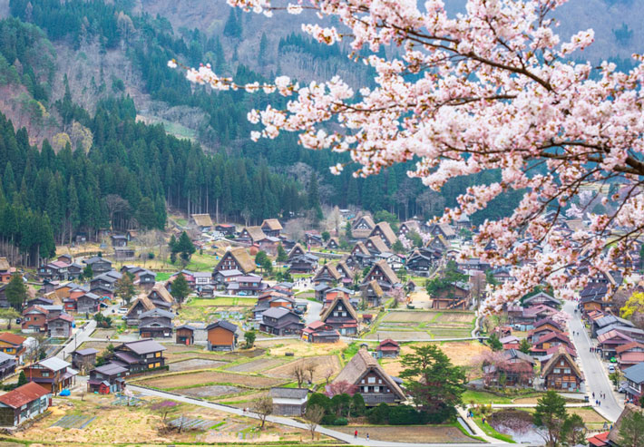 Làng cổ Shirakawa
