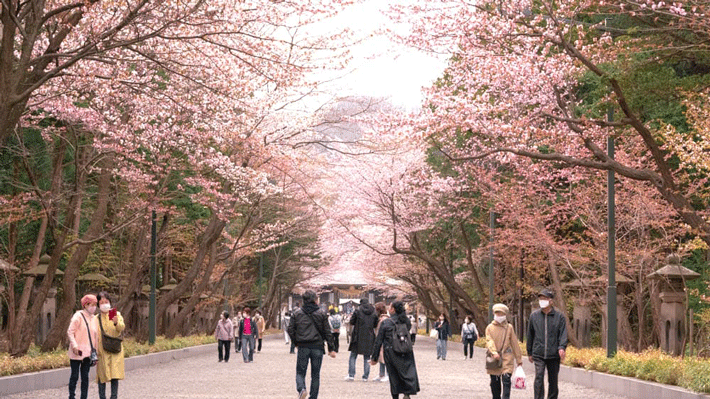 Quan cảnh bên ngoài đền Hokkaido Jingu.