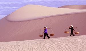 Đồi Cát Hồng