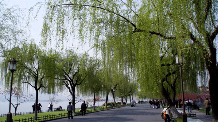 Công viên Liễu Lãng Văn Oanh.