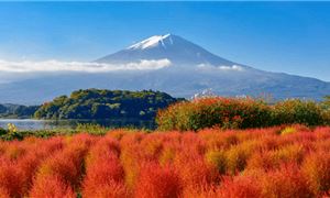Công viên Oishi vào mùa cỏ Kokia tháng 9,10