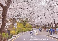 Tour Hàn Quốc 5N4Đ: HCM - Busan - Gyeongju - Ulsan - Làng Bích Họa Gamcheon