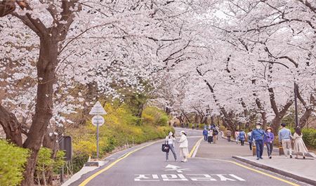 Tour Hàn Quốc 5N4Đ: HCM - Busan - Gyeongju - Ulsan - Làng Bích Họa Gamcheon