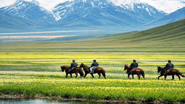Khung cảnh thảo nguyên xanh mướt ở Tân Cương.