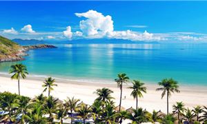 ivv-nha-trang.gif