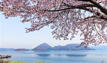 Tour Nhật Bản 7N6Đ: HCM - Hokkaido - Sapporo - Otaru - Hồ Xanh Biei - Hoa Anh Đào