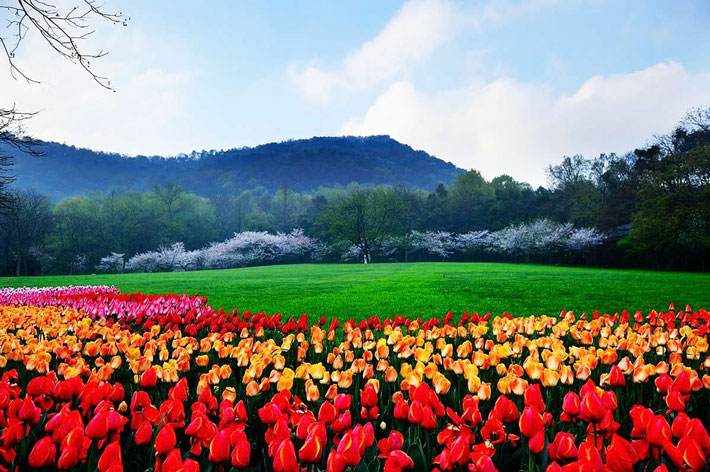 Công Viên Taiziwan