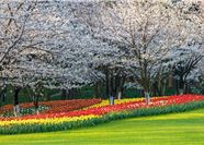 Tour Trung Quốc 5N4Đ: HCM - Thượng Hải - Ô Trấn - Hàng Châu - Taiziwan Park