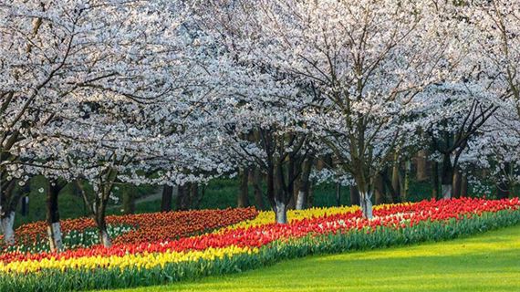 Công Viên Taiziwan