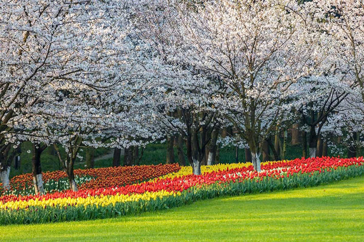 Công Viên Taiziwan