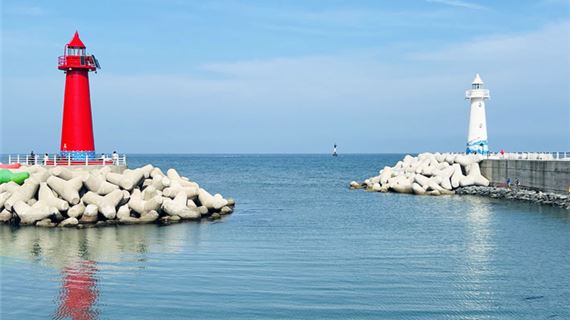 Hải Đăng Cheongsapo