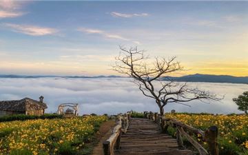 Tour Đà Lạt 3N3Đ: HCM - Langbiang Land - Fresh Garden - Thiên Đường Săn Mây