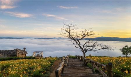 Tour Đà Lạt 3N3Đ: HCM - Langbiang Land - Fresh Garden - Thiên Đường Săn Mây