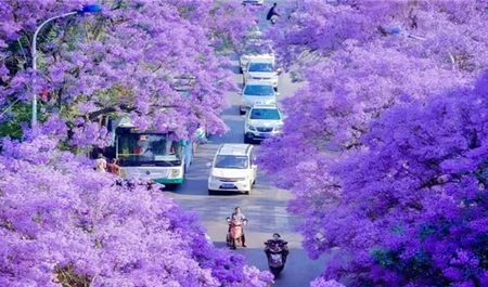 Tour Trung Quốc 4N3Đ: HCM - Côn Minh - Trượt Tuyết Kunming - No Shopping